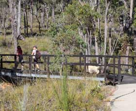 Forest Path, Crooked Brook - Sunshine Coast Tourism 0