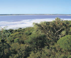 Pink Lake - Holiday Sunshine Coast 0