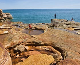 Food Wine And Nightlife Hawker ACT Sunshine Coast Tourism