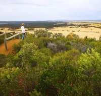 Archer Drive Scenic Drive and Lookout - Sunshine Coast Tourism
