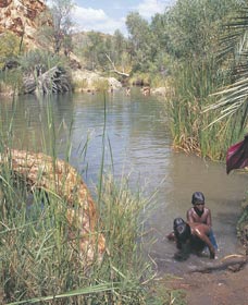 Palm Springs - Sunshine Coast Tourism 0