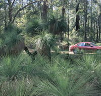 Bridgetown Jarrah Park - Sunshine Coast Tourism