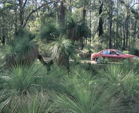 Bridgetown Jarrah Park - Holiday Sunshine Coast 0