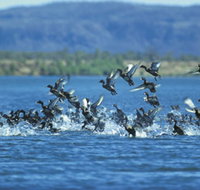 Ord River - Sunshine Coast Tourism