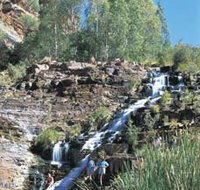 Fortescue Falls - Sunshine Coast Tourism