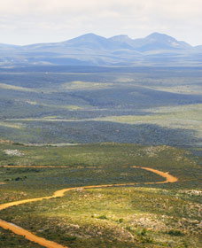 Sunshine Coast Tourism