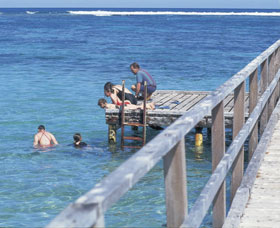 Horrocks Beach - Sunshine Coast Tourism 0
