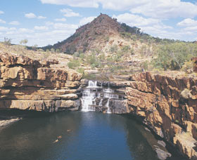 Silent Grove - Sunshine Coast Tourism 0