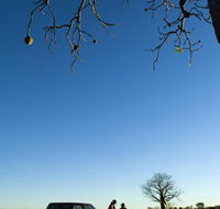 Joonjoo Botanical Trail - Holiday Sunshine Coast