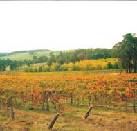 Byramgou Park - Holiday Sunshine Coast