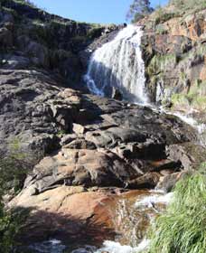 Lesmurdie Falls - Sunshine Coast Tourism 0