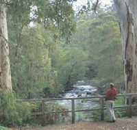 Cascades - Sunshine Coast Tourism