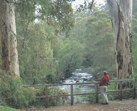 Cascades - Holiday Sunshine Coast 0