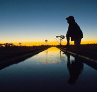 Myalls Bore - Holiday Sunshine Coast