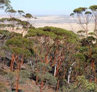 Mount Matilda Walk Trail Wongan Hills - Sunshine Coast Tourism