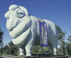 Giant Ram Tourist Park - Sunshine Coast Tourism 0