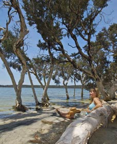 Stokes National Park - Holiday Sunshine Coast 0