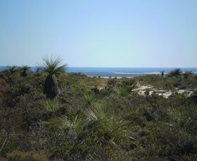 Lesueur National Park - Sunshine Coast Tourism 0
