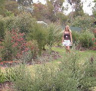 The Mythic Mazes - Sunshine Coast Tourism
