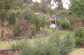 The Mythic Mazes - Holiday Sunshine Coast 0