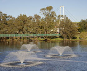 Suspension Bridge - Sunshine Coast Tourism 0