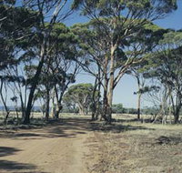 Lake Dumbleyung - Sunshine Coast Tourism