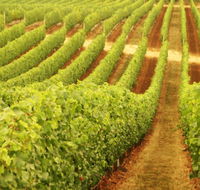 Xanadu Wines - Sunshine Coast Tourism