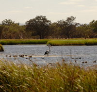 Anytime Adventures in Mandurah  the Peel Region - Holiday Sunshine Coast