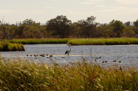 Anytime Adventures In Mandurah & The Peel Region - Sunshine Coast Tourism 0