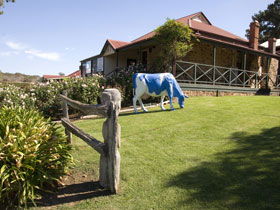Longview Vineyard - Sunshine Coast Tourism 0