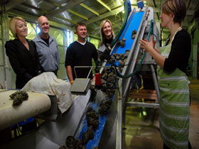 Eyre Peninsula's Seafood Trail - Sunshine Coast Tourism 0
