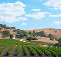 Bethany Wines - Sunshine Coast Tourism