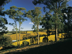 Lobethal SA Sunshine Coast Tourism
