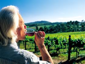 Ashton Hills Vineyard - Holiday Sunshine Coast 0