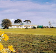 Lucindale Country Club - Sunshine Coast Tourism
