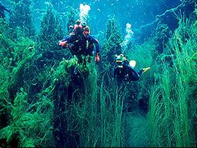 Mingbool SA Sunshine Coast Tourism