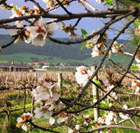 Cradle of Hills McLaren Vale Winery - Sunshine Coast Tourism