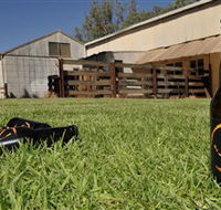 Wilkadene Woolshed Brewery - Sunshine Coast Tourism