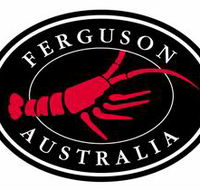 Ferguson Australia Pty Ltd - Sunshine Coast Tourism