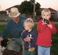 Orrie Cowie Merino and Poll Merino Stud - Sunshine Coast Tourism