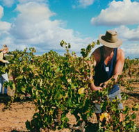Torbreck Vintners