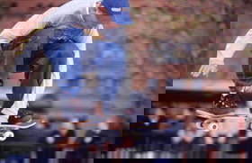 City Sk8 Park - Holiday Sunshine Coast 0