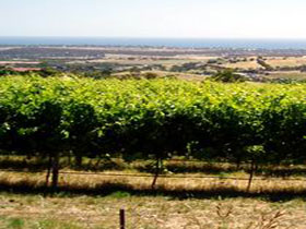 Braydun Hill Vineyard - Holiday Sunshine Coast 0