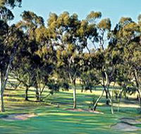 Tanunda Pines Golf Club - Sunshine Coast Tourism
