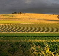Kellermeister Wines - Holiday Sunshine Coast