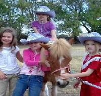 Amberainbow Pony Rides - Holiday Sunshine Coast