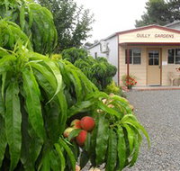 Gully Gardens - Sunshine Coast Tourism