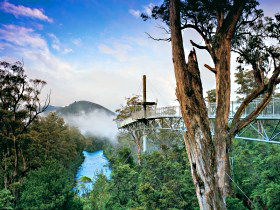  Holiday Sunshine Coast