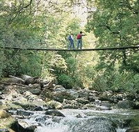 Arve Forest Drive