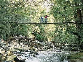 Arve Forest Drive - Sunshine Coast Tourism 0